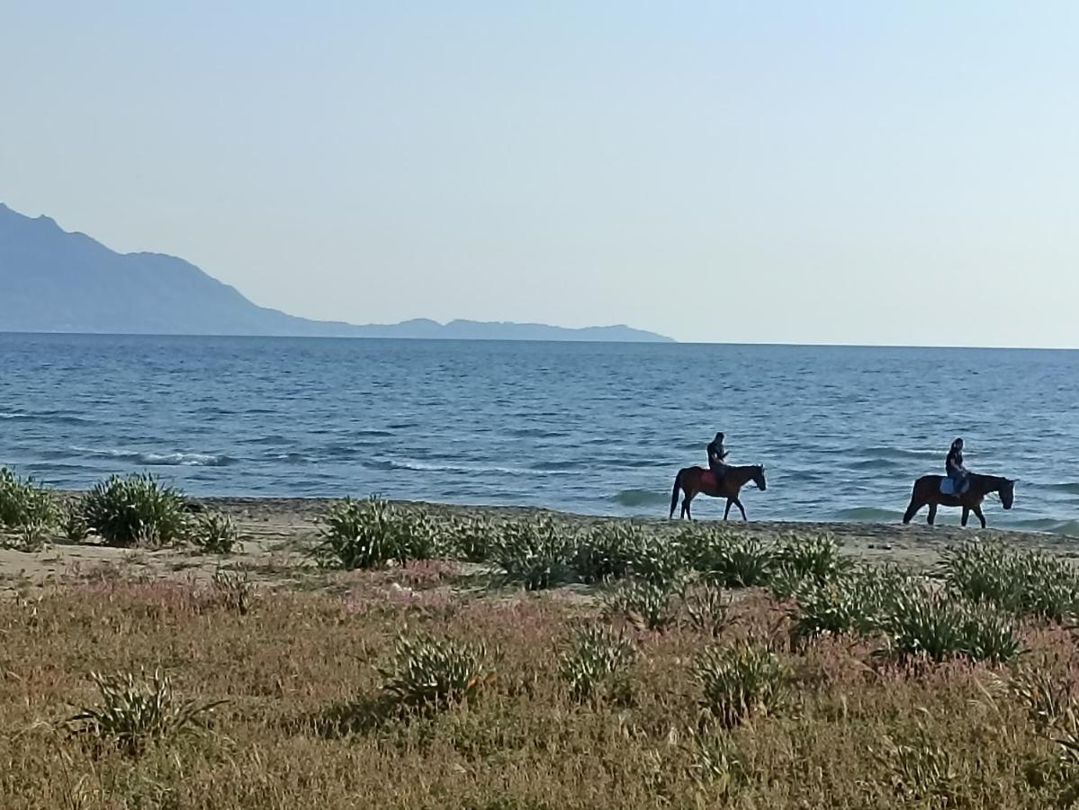 Pozzuoli-Licola Mare Lejlighed Eksteriør billede